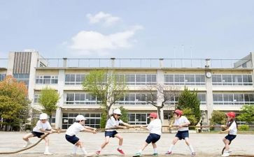 学生实习工作心得体会优质6篇