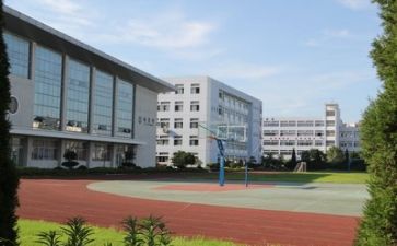 学校安全及管理心得体会8篇