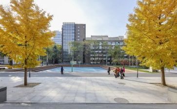 学校年语言文字工作计划7篇