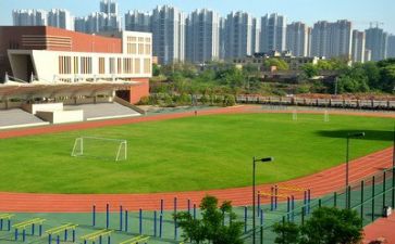 学校的我演讲稿优秀7篇