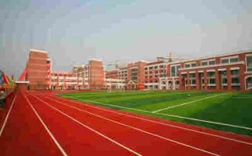 学校宗和管理调研报告8篇