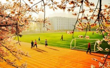 学校安全述职报告范文5篇