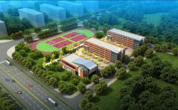 教师对学校的心得体会优质7篇