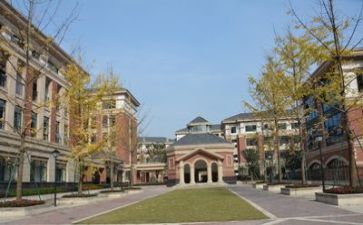 学校6.5活动方案通用7篇