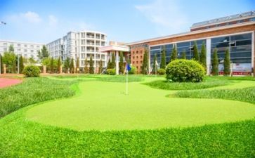 学校的我演讲稿8篇
