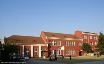学校3.5活动方案推荐5篇