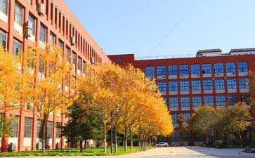 教师对学校的心得体会5篇