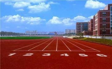 教师学校培训心得体会模板8篇