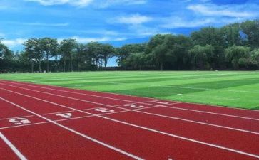学校食堂个人总结8篇
