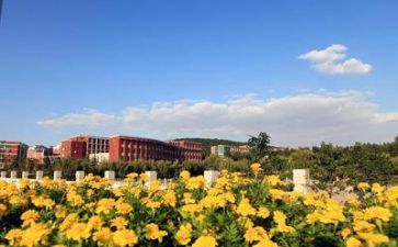 学校会计的工作计划优质5篇