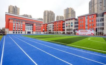 学校教师的心得体会优秀8篇