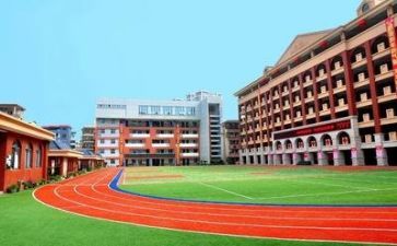学校的活动总结通用7篇