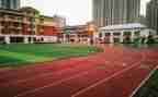 学校3.5活动方案通用7篇