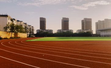 市学校体育工作计划7篇