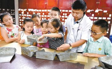 2024小学艺术节活动方案6篇
