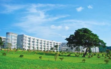 医学院学生心得体会6篇