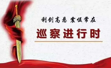 巡察干部述职报告6篇