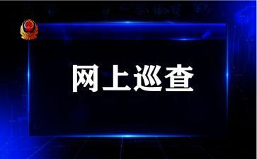 巡查员年终总结7篇