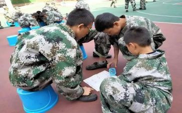 培训学校2024工作总结范文5篇
