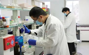 研发2024年工作总结报告7篇