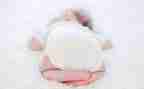 幼儿园小班水果宝宝教案6篇