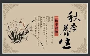 策划养生活动方案8篇
