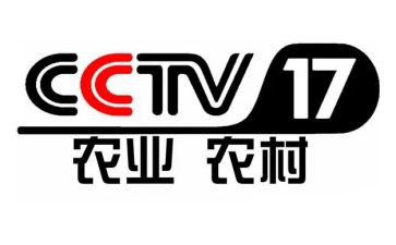 2023央视春晚心得体会6篇