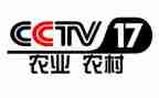 2023央视春晚心得体会6篇