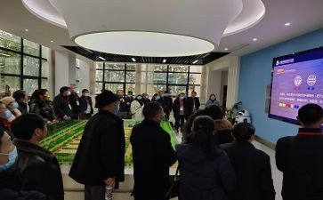 数学教师个人研修总结6篇