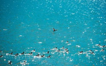 老师的言与行作文8篇