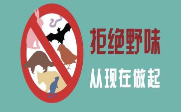 拒绝野味,从我做起演讲稿7篇