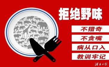 拒绝野味演讲稿8篇