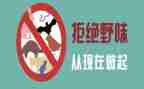 拒绝野味从我做起演讲稿8篇