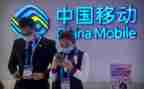 移动客户经理年终工作总结6篇