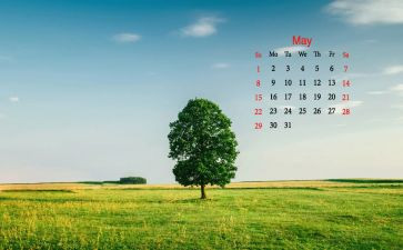 近一个月的工作总结最新5篇