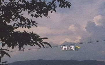 遗憾优秀作文6篇