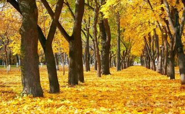 一季工作总结模板7篇