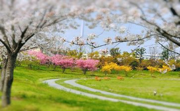 一季工作总结7篇