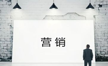 大型营销活动方案6篇