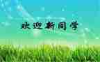 镇迎新活动方案模板5篇