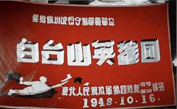 作文英雄800字通用6篇