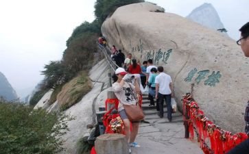 野生动物园一日游作文6篇