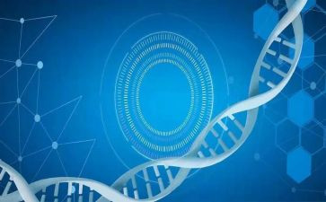 医学生培训后心得体会精选8篇