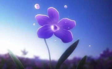 母爱永恒作文优秀5篇