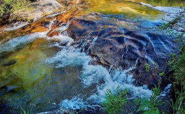 《节约用水》教案精选7篇