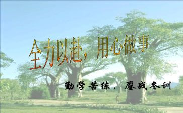 课设通用心得体会优质7篇