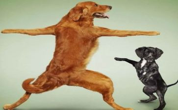 幼儿园有趣的蛋教案7篇