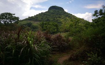 去游山玩水的作文7篇