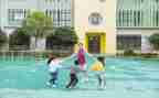 幼师专业自我鉴定优质7篇