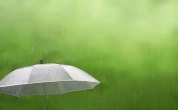 秋天的雨作文400字最新7篇